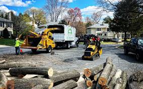 Best Lawn Mowing  in Old Hill, CT